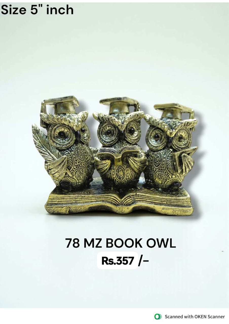 Book Owl Set