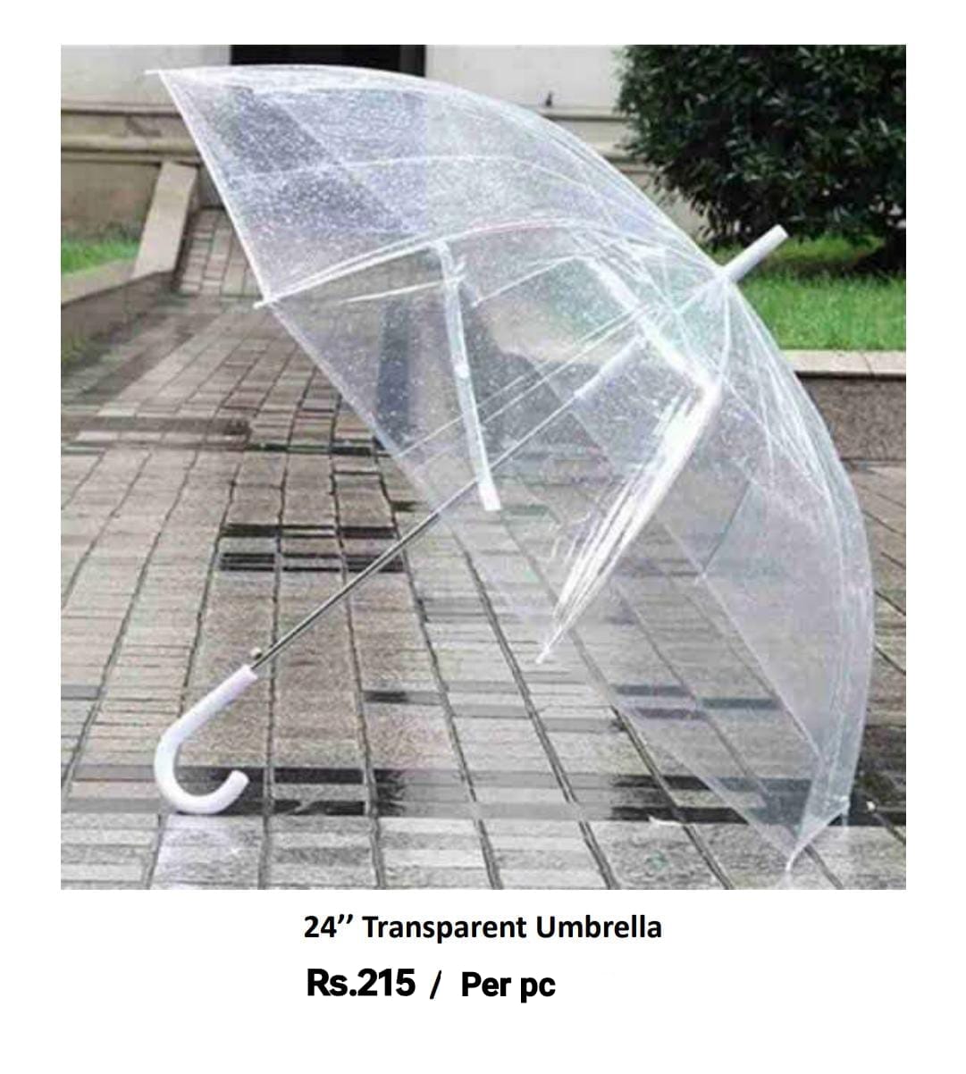 Transparent Umbrella