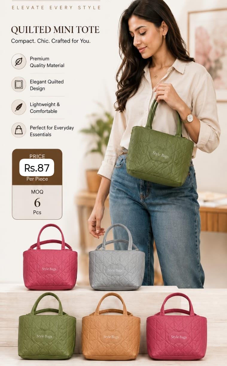 Stylish Lanch Bag
