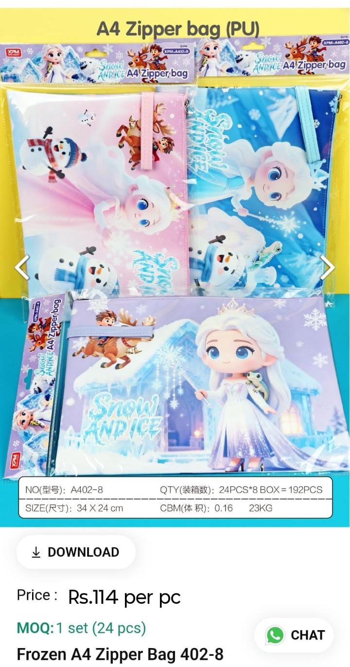 Frozen A4 Zipper Bag