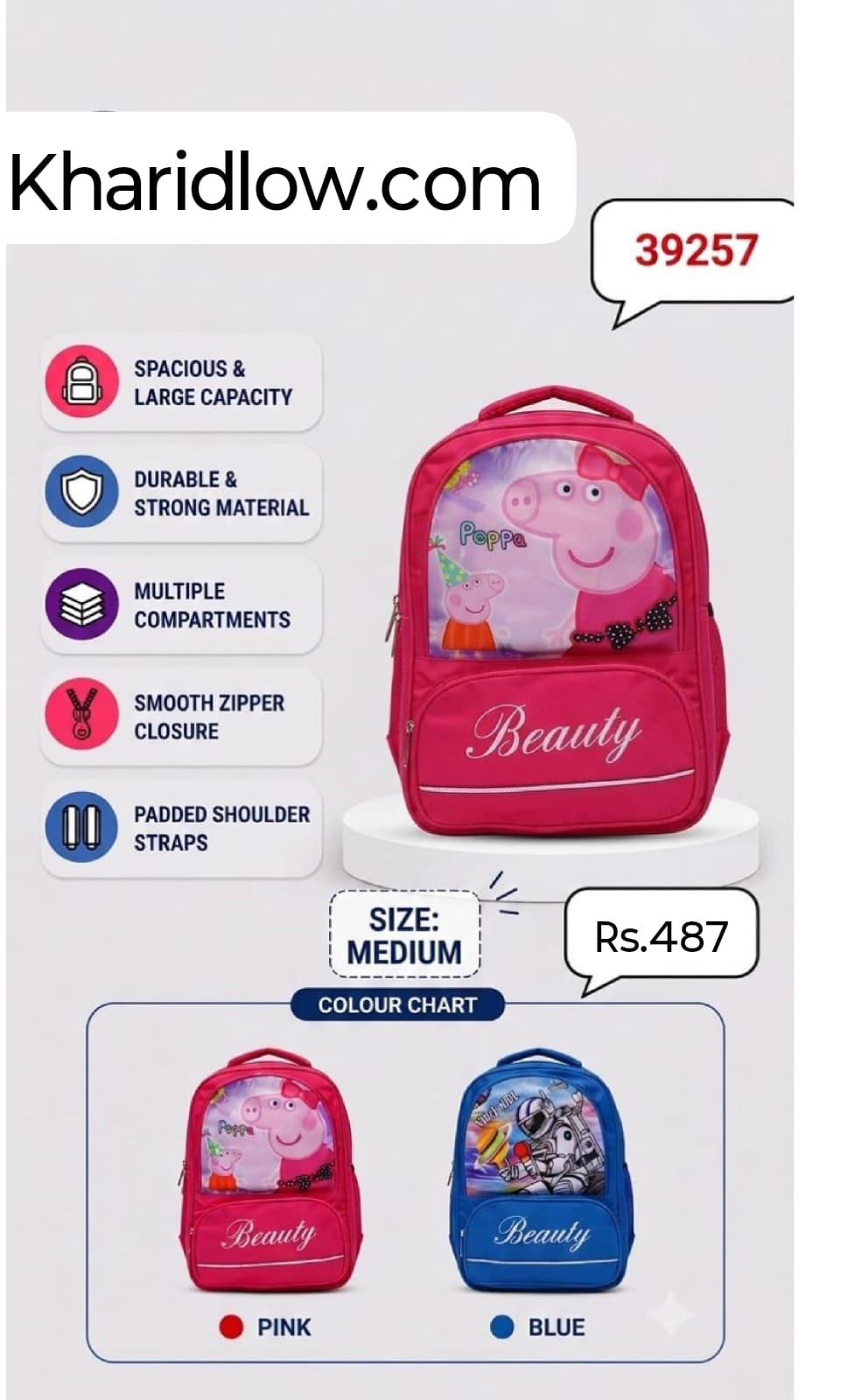 Stylish School Bag