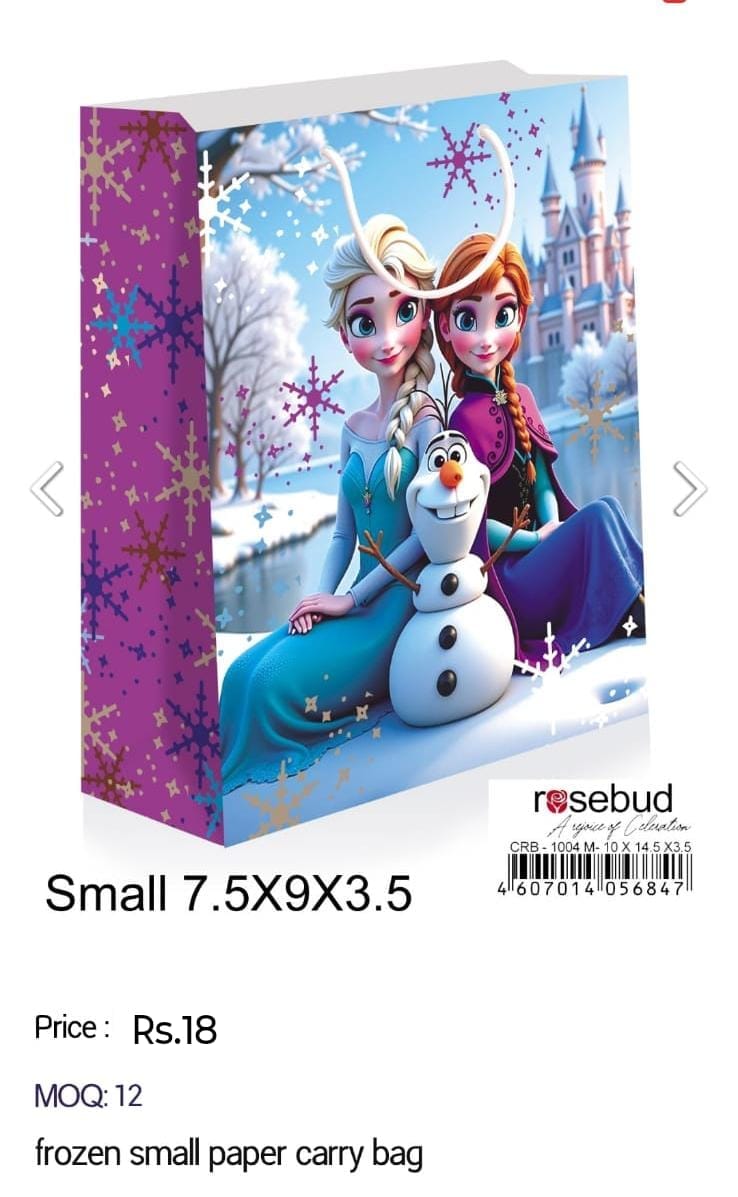 Frozen New Small Paper Carry Bag