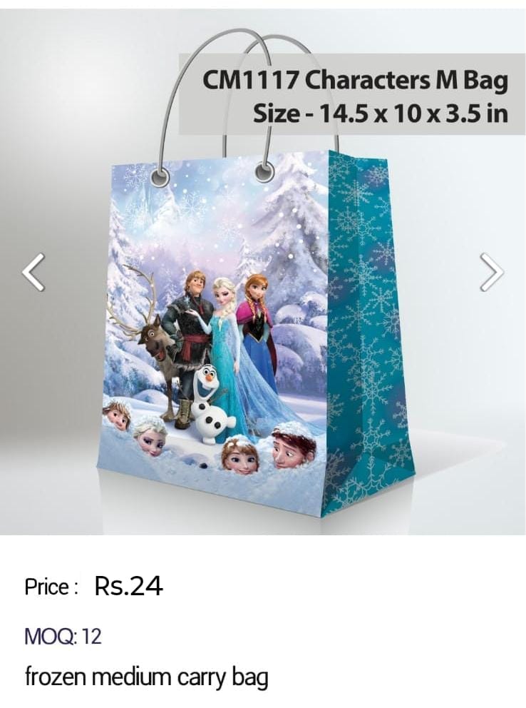 Frozen Medium Carry Bag