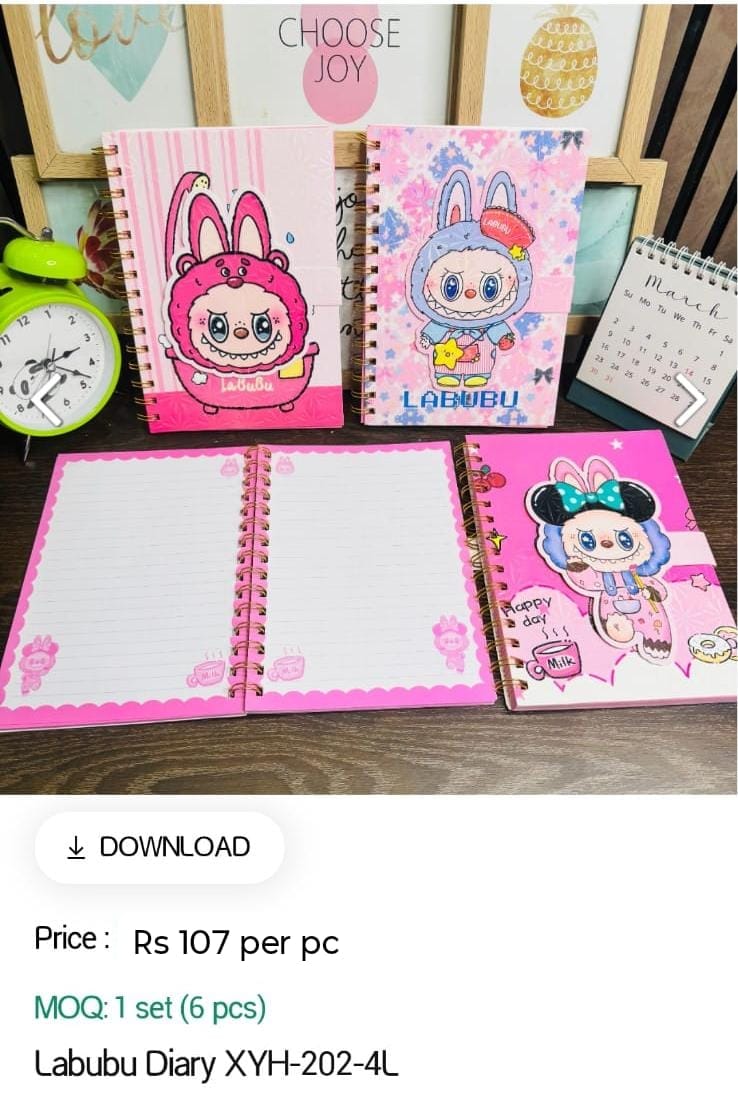 Labubu Kids Diary