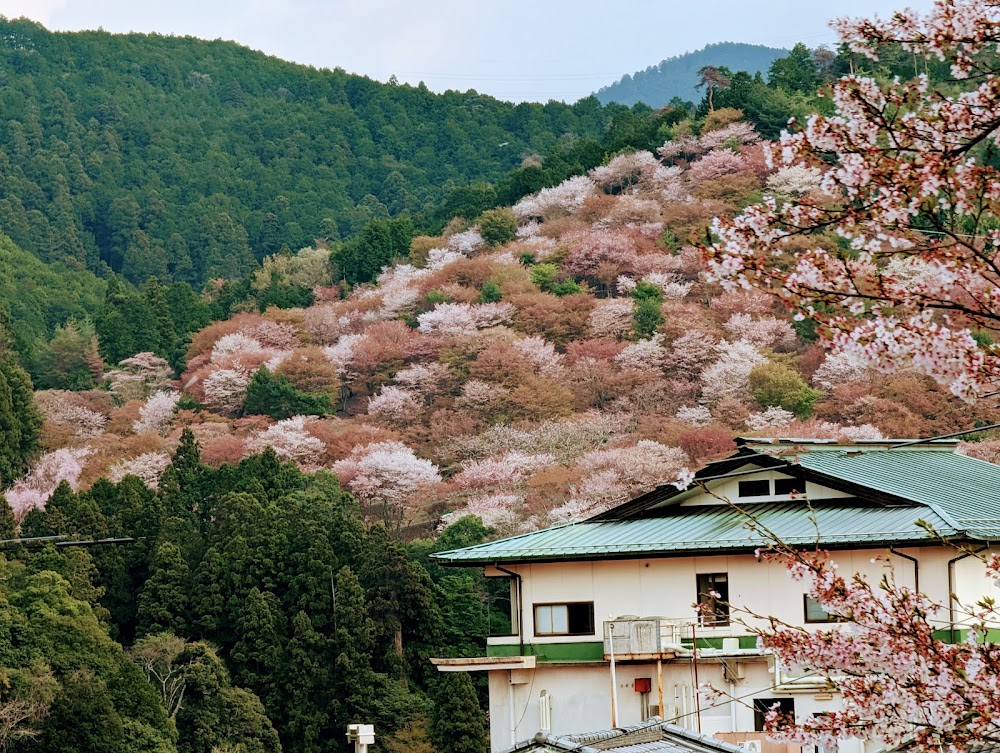 吉野山