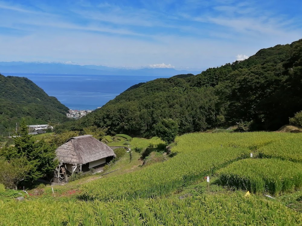 Ishibu Rice Terraces