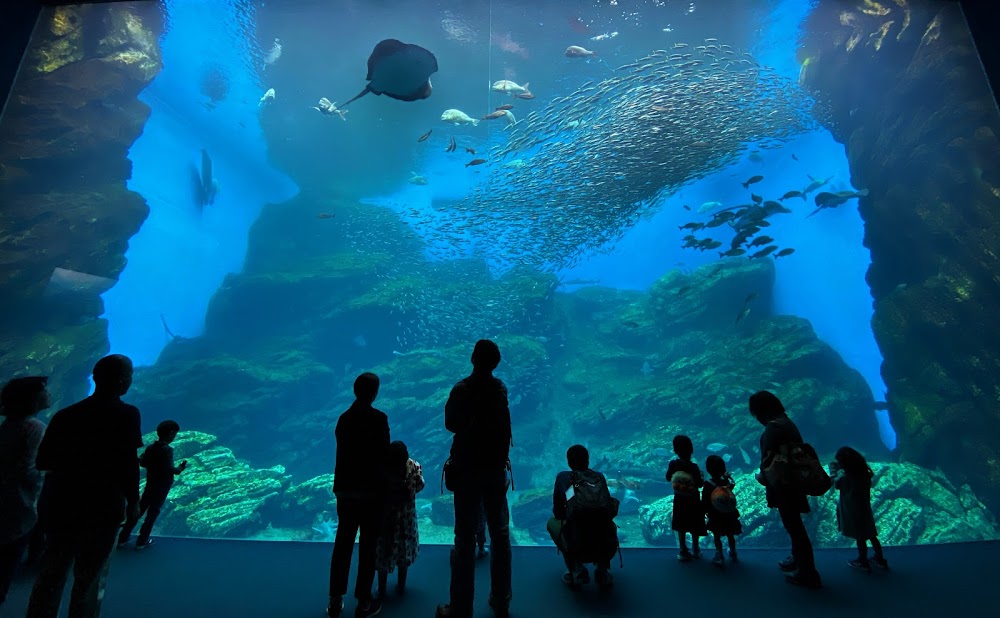 仙台海洋森林水族館