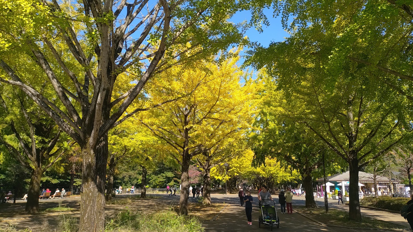 4. 光が丘公園