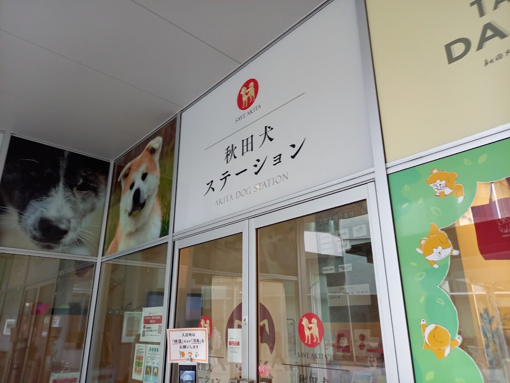 Akita Dog Station