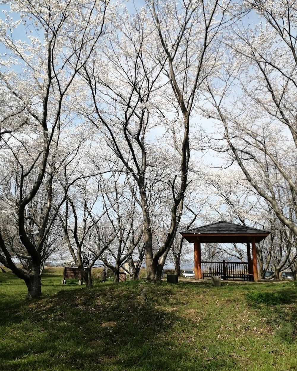 湖岸緑地 長浜南浜