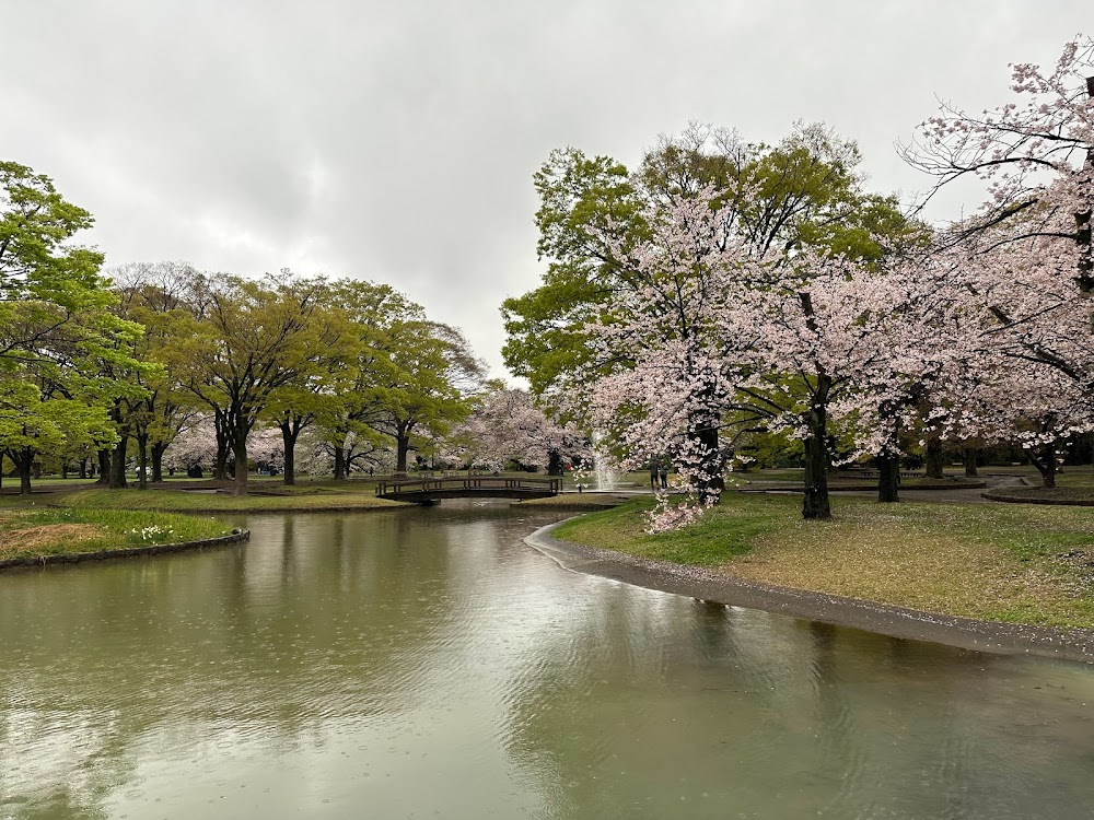 代代木公園