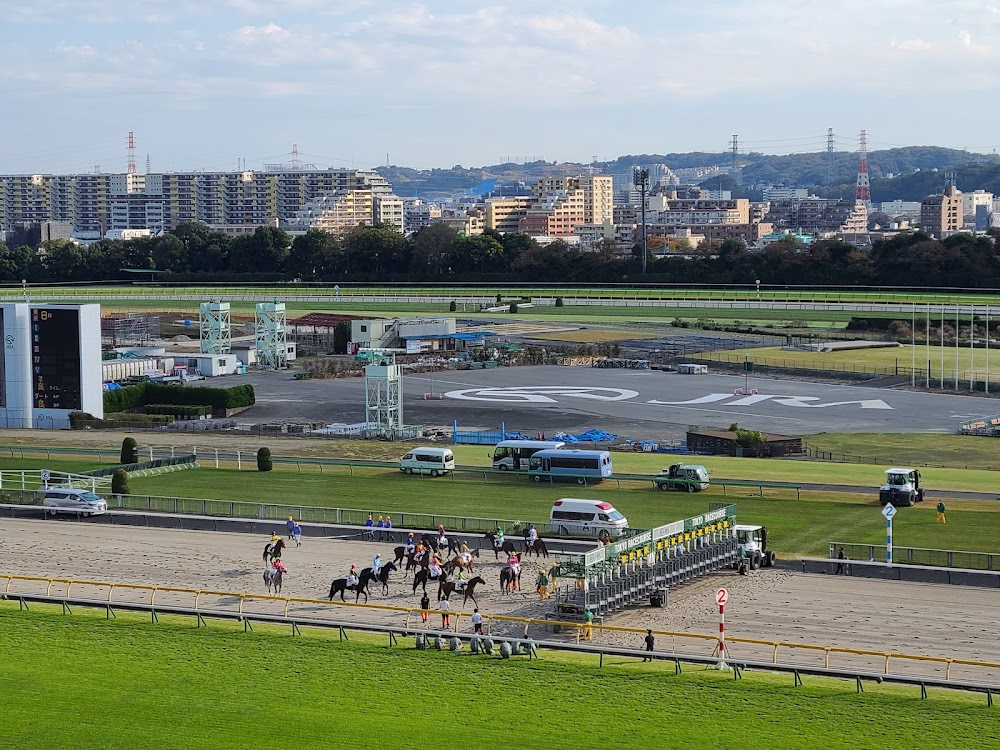 東京競馬場