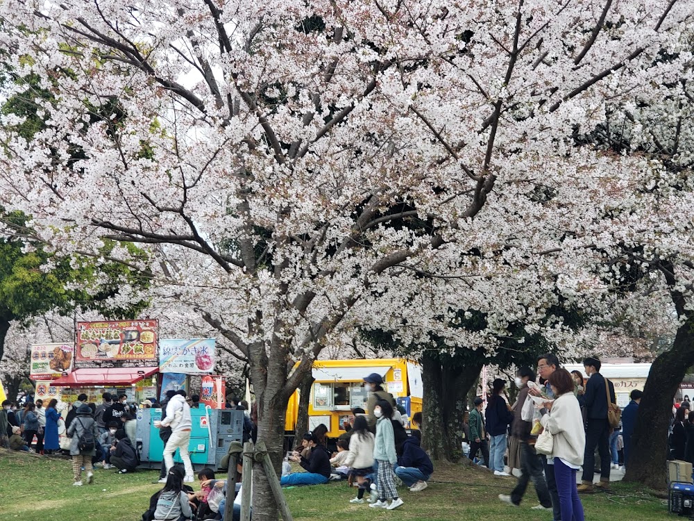 Shizuoka Matsuri