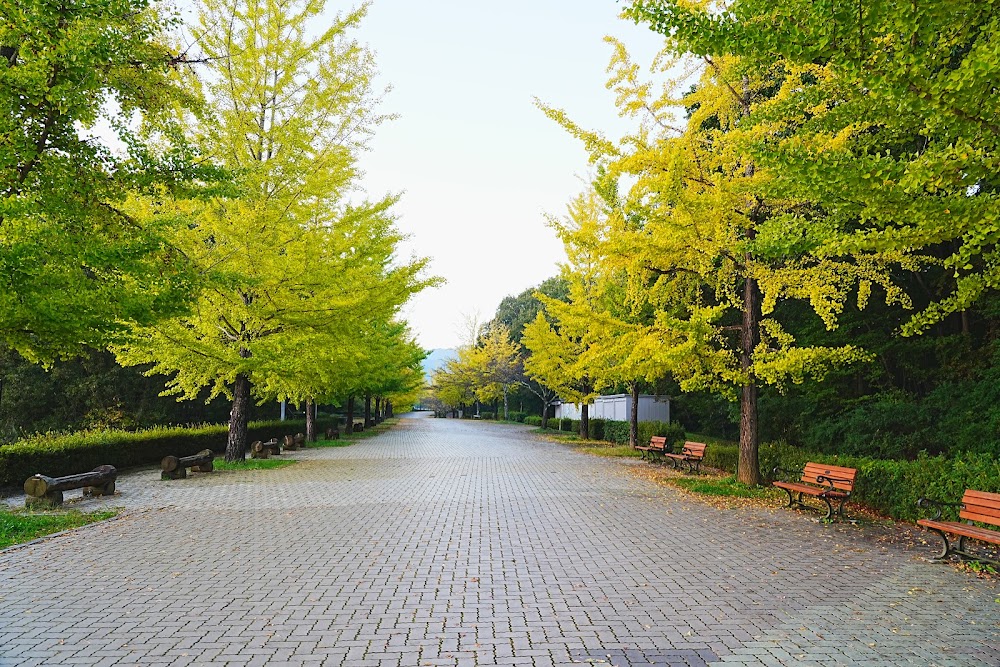 Chichibu Muse Park