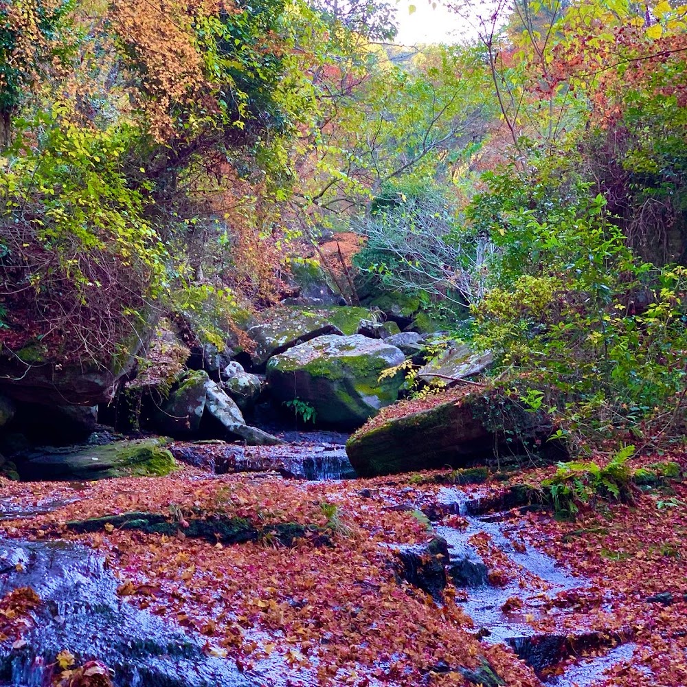 Yamanaka Gorge