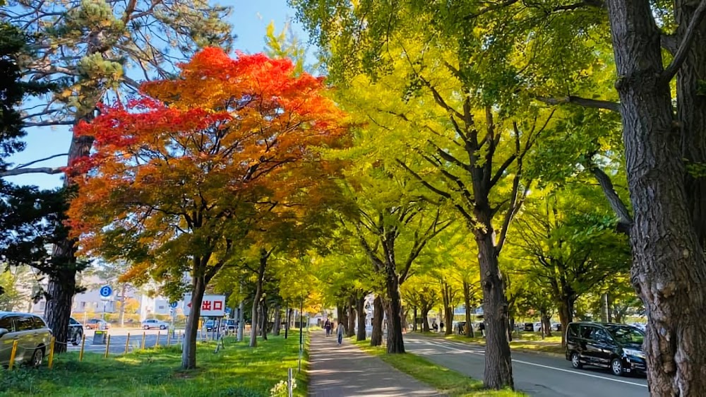 北海道大學