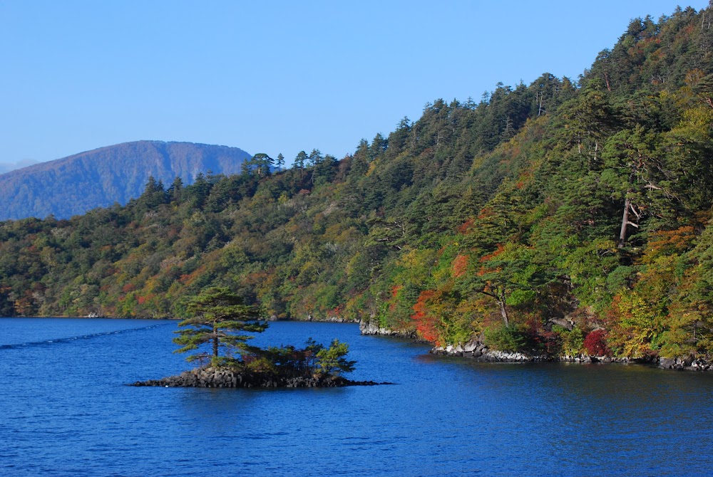 十和田市