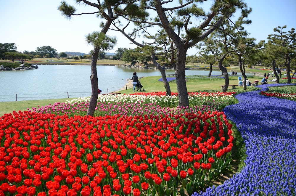 海之中道海濱公園