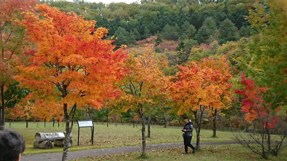 朝日ケ丘総合都市公園