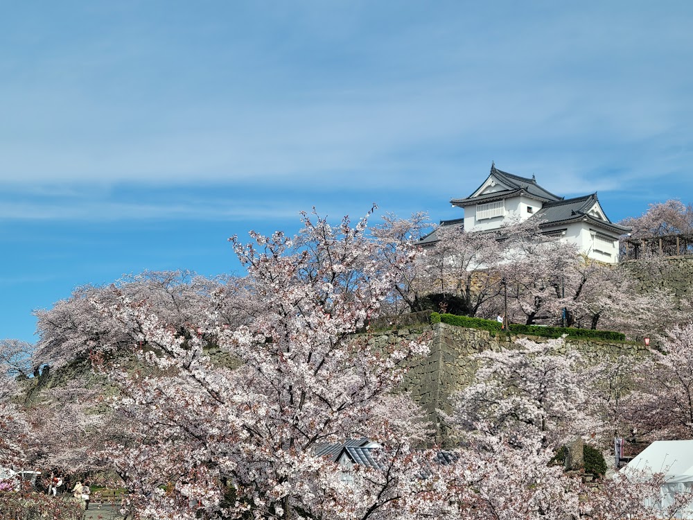 津山城（鶴山公園）