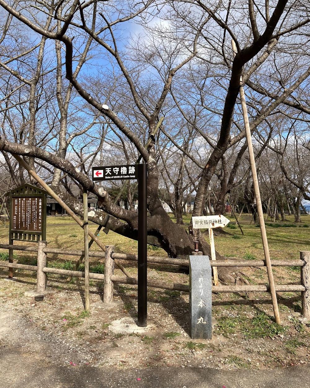 臼杵城 本丸跡