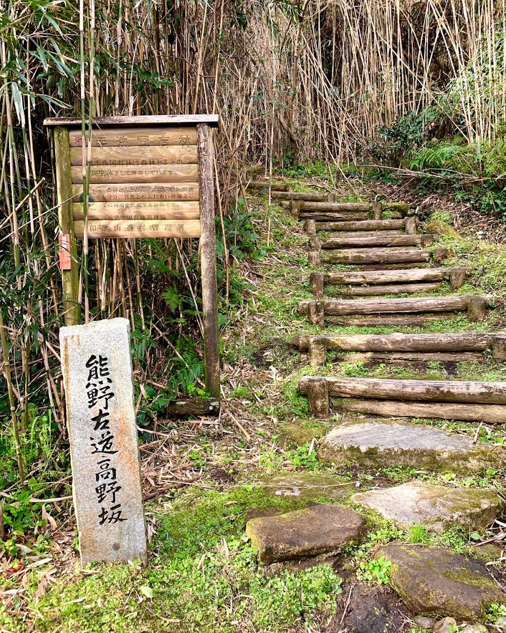 高野坂