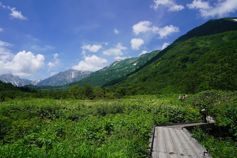 栂池自然園