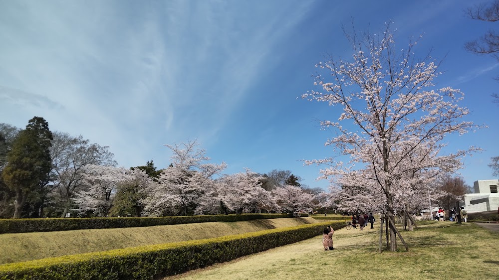 佐倉城跡公園