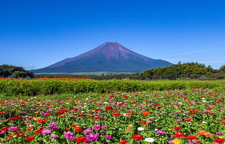 山中湖花都公園