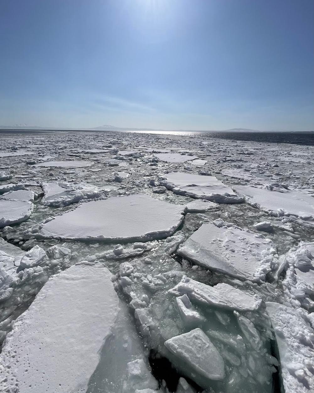 網走流冰觀光破冰船 極光號（Aurora）