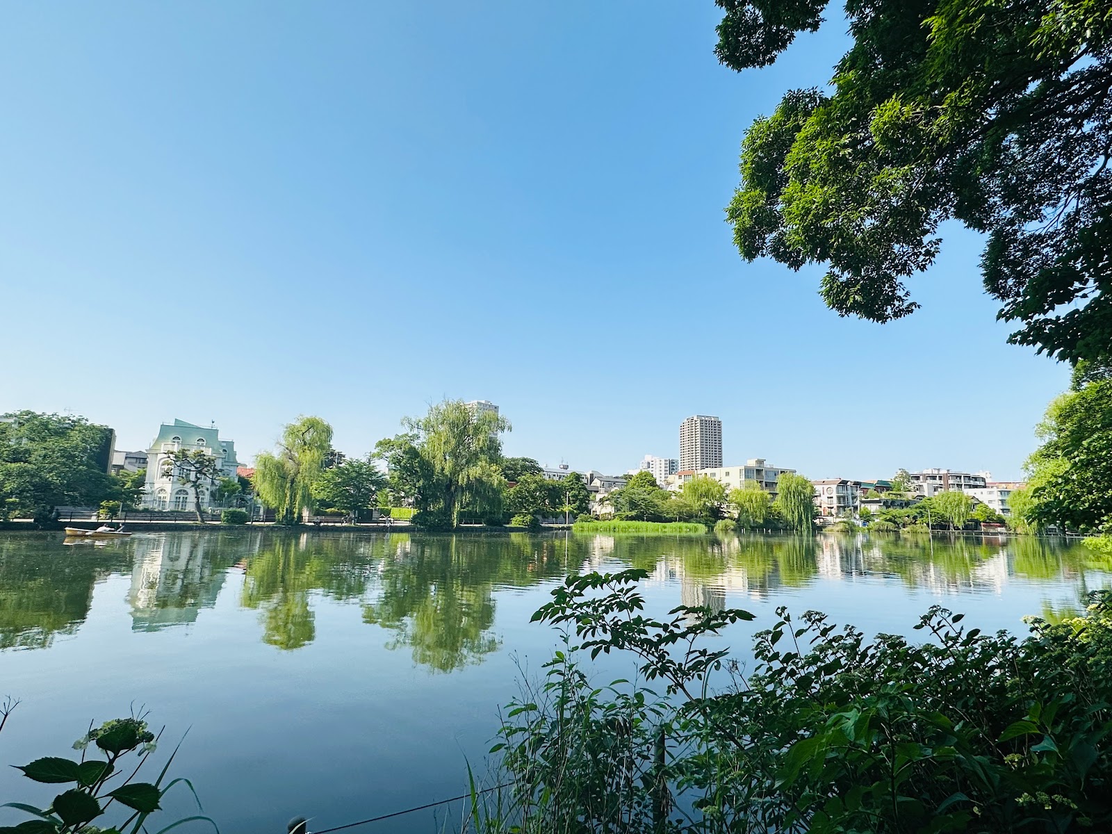 2. 石神井公園