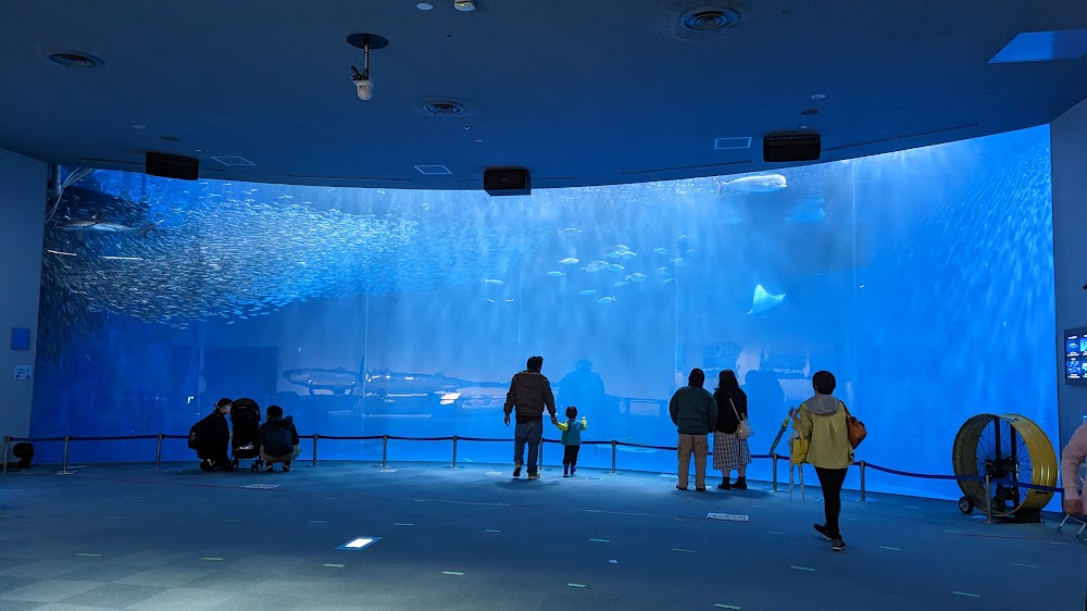 名古屋港水族館