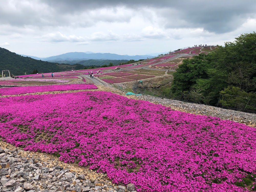 茶臼山高原