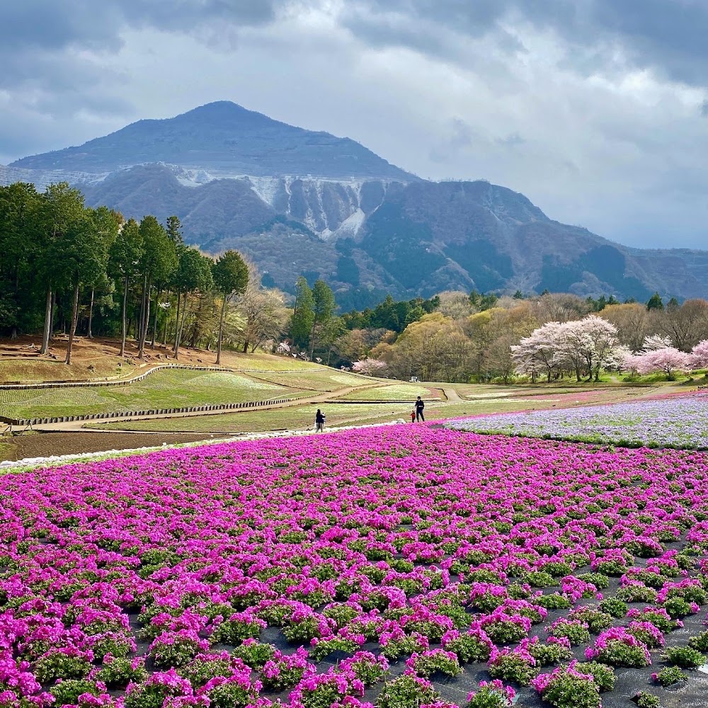 羊山公園