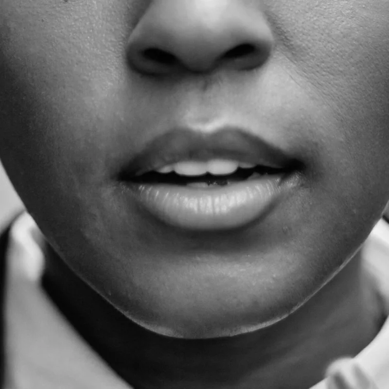 Visual example of Soft Classic lips