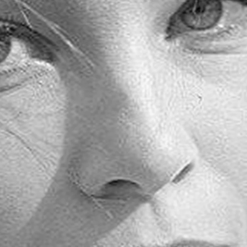 Visual example of Soft Gamine nose