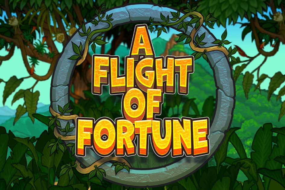 A Flight of Fortune Cover Image