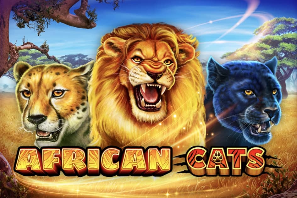 African Cats Cover Image