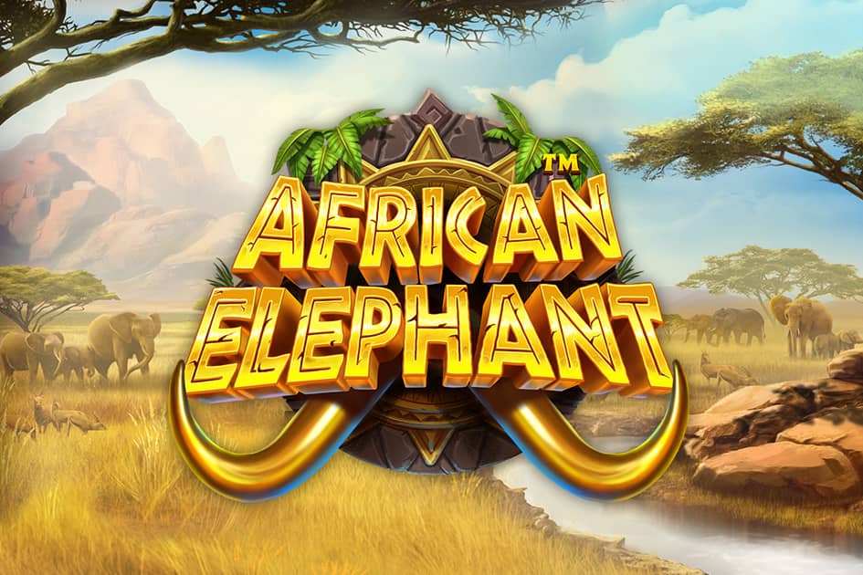 African Elephant Cover Image