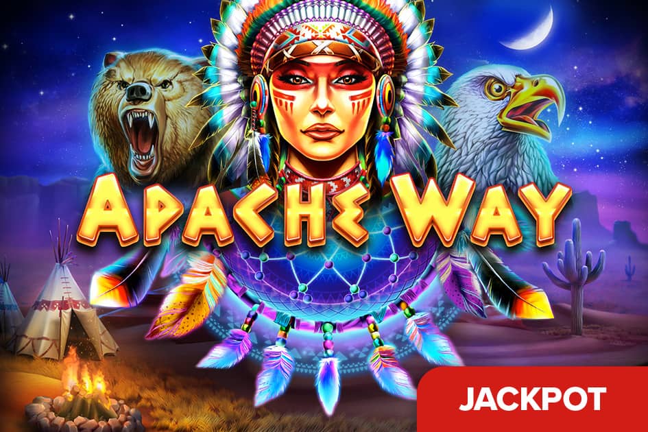 Apache Way Cover Image