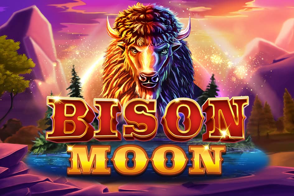 Bison Moon Cover Image