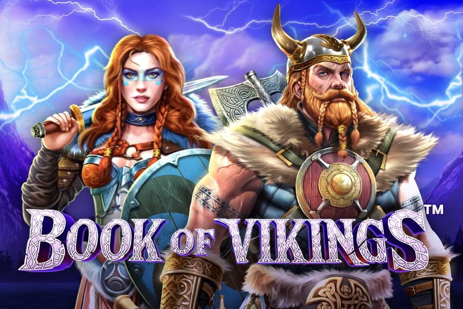 Book of Vikings Cover Image