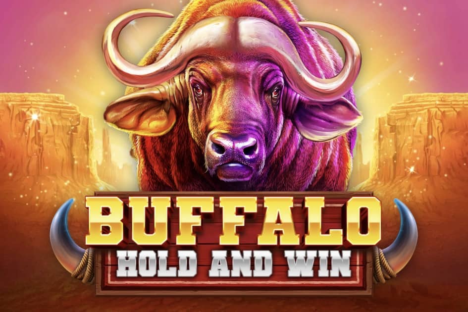 Buffalo Hold and Win Cover Image