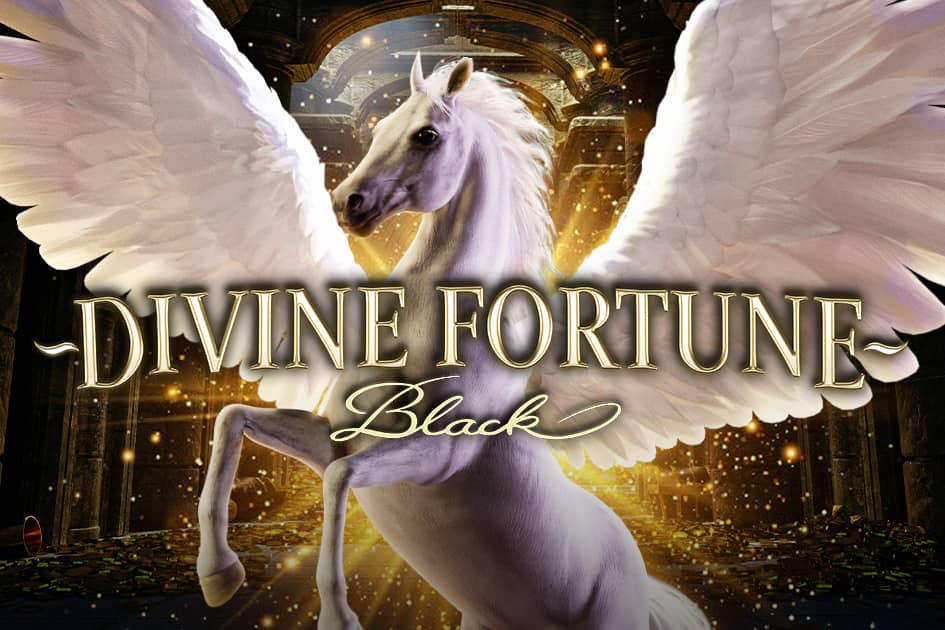 Divine Fortune Black Cover Image