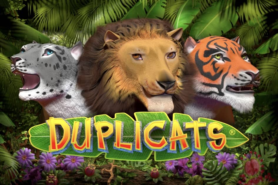 Duplicats Cover Image