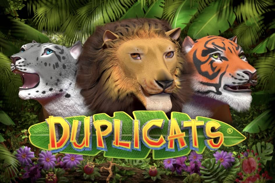 Duplicats