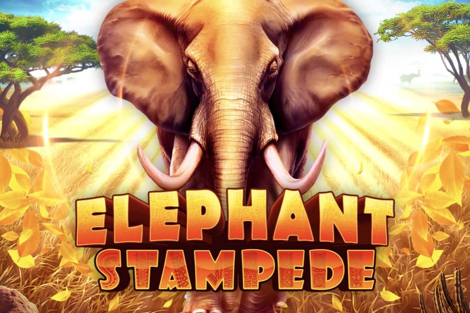 Elephant Stampede