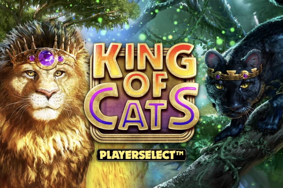 King of Cats Megaways Cover Image