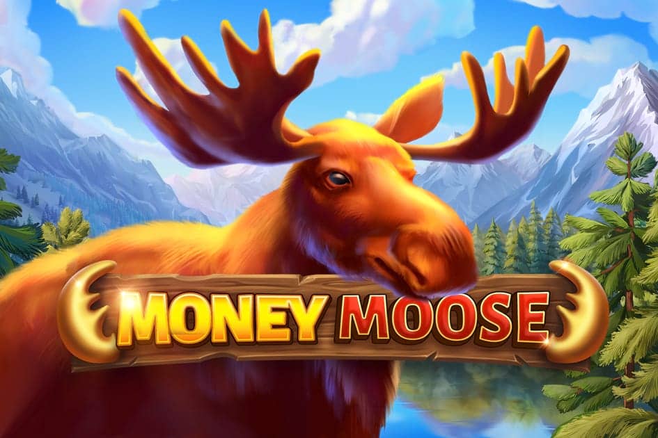 Money Moose