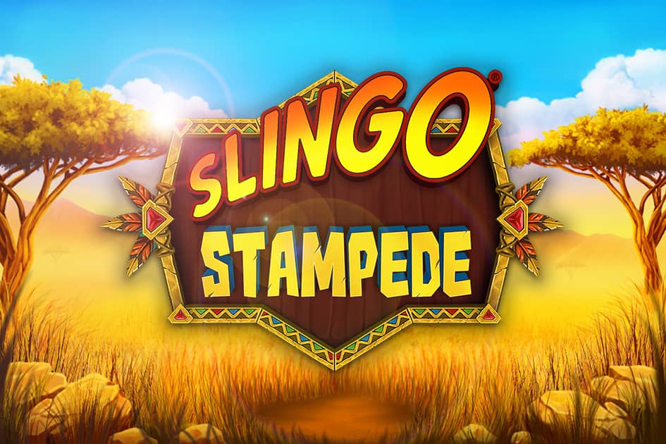 Slingo Stampede Cover Image